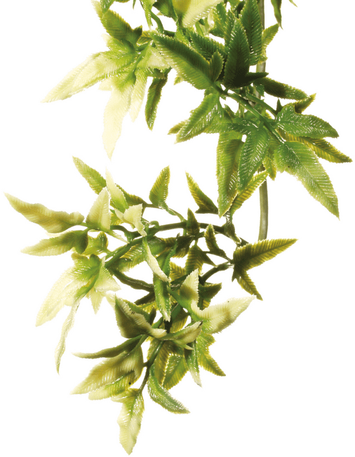 Rostlina EXO TERRA Croton střední 45 cm