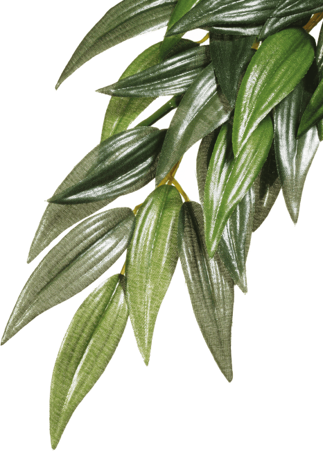 Rostlina EXO TERRA Rucus střední 55 cm