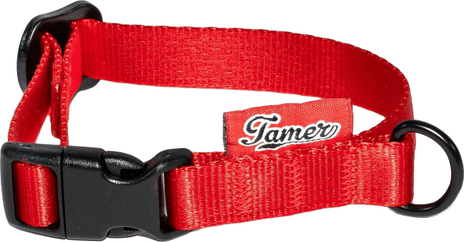 Obojek Tamer Simple 1,5 cm 18-27 cm červený