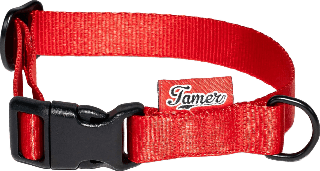Obojek Tamer Simple 2 cm 24-36 cm červený