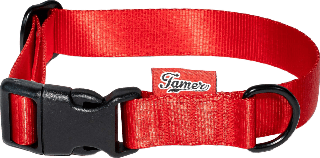 Obojek Tamer Simple 2,5 cm 28-43 cm červený