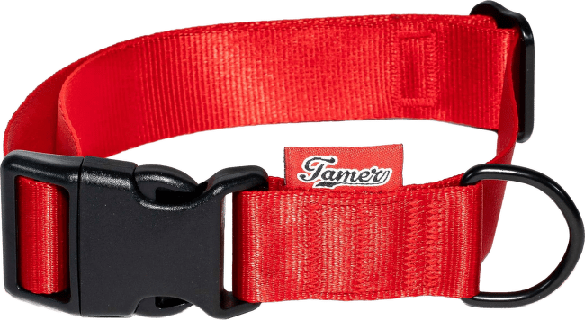 Obojek Tamer Simple 3 cm 33-55 cm červený