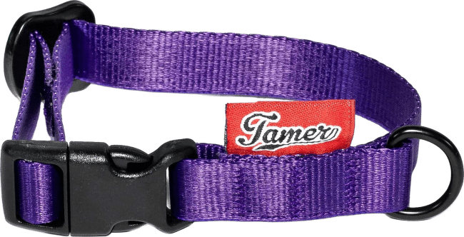 Obojek Tamer Simple 1,5 cm 18-27 cm fialový