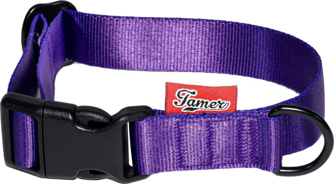 Obojek Tamer Simple 2,5 cm 28-43 cm fialový