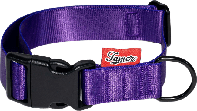 Obojek Tamer Simple 3 cm 33-55 cm fialový
