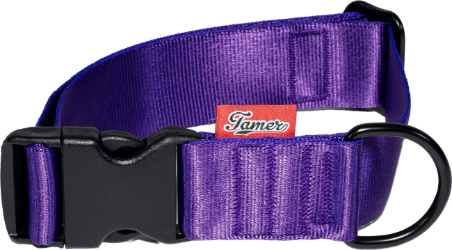 Obojek Tamer Simple 4 cm 33-55 cm fialový