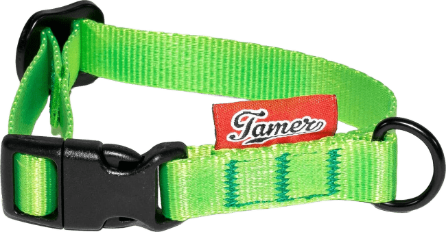 Obojek Tamer Simple 1,5 cm 18-27 cm zelený