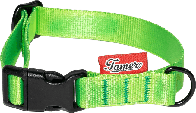 Obojek Tamer Simple 2 cm 24-36 cm zelený