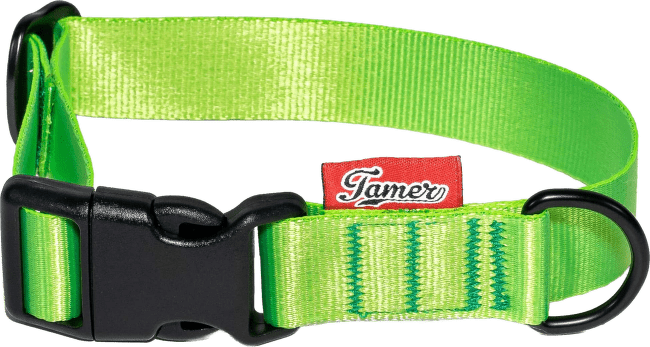 Obojek Tamer Simple 2,5 cm 28-43 cm zelený