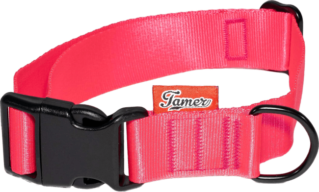 Obojek Tamer Simple 3 cm 33-55 cm růžový