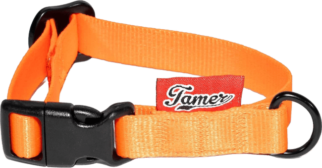 Obojek Tamer Simple 1,5 cm 18-27 cm oranžový