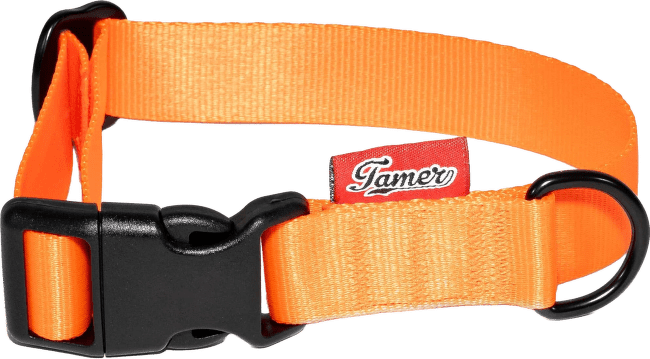 Obojek Tamer Simple 2,5 cm 28-43 cm oranžový