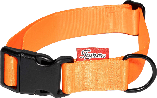 Obojek Tamer Simple oranžový 3 cm 33–55 cm