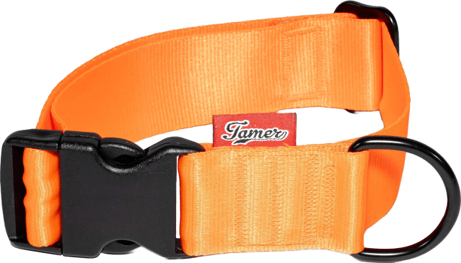 Obojek Tamer Simple oranžový 4 cm 33–55 cm