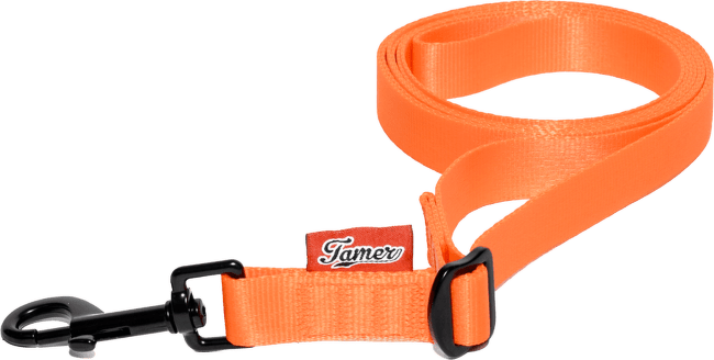 Vodítko Tamer Simple popruhové 2,5 m oranžové