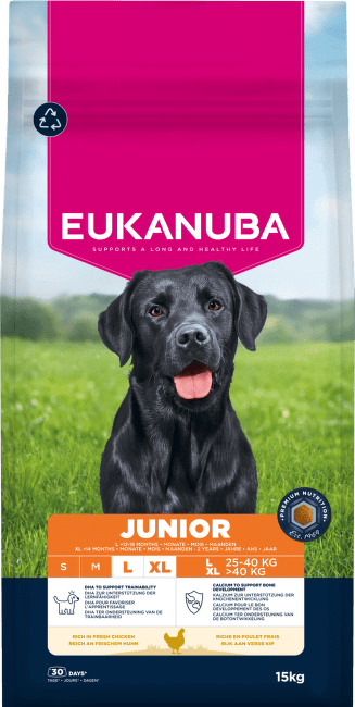 Krmivo Eukanuba Junior Large kura 15kg
