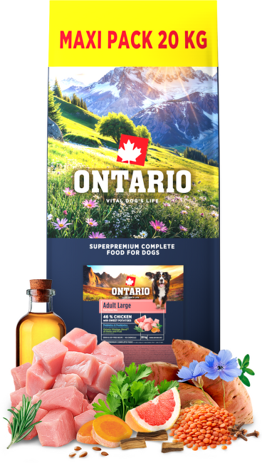 Ontario Adult Large Chicken & Sweet Potatoes 20kg