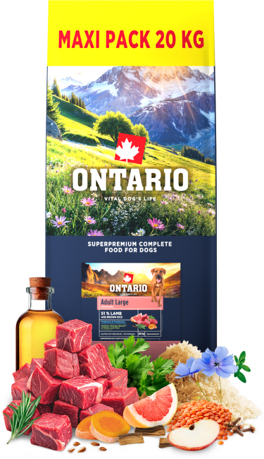 Ontario Adult Large Lamb & Brown Rice 20kg