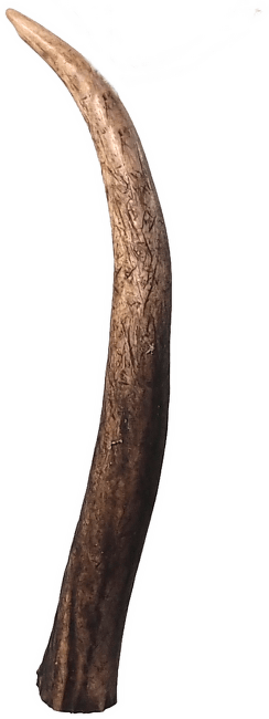Лакомство для собак – Ontario Deer Antler, S
