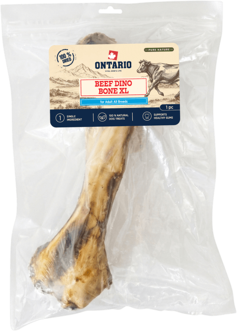 Sušená hovězí Dino kost XL Ontario Pure Nature 1 ks