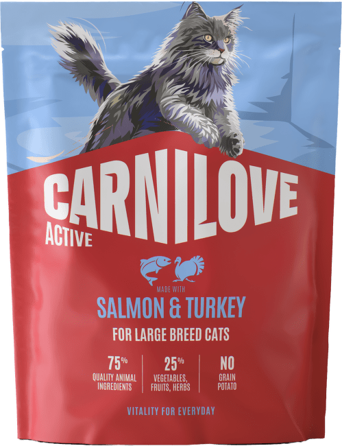 Barība kaķiem – CARNILOVE ACTIVE Cat Dry Adult Large Breeds with Salmon and Turkey 400 g