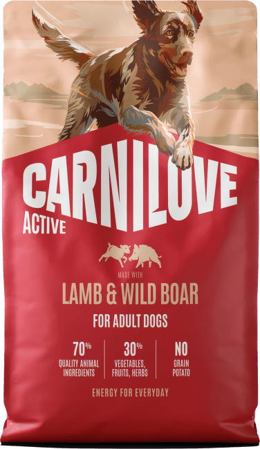 Корм для собак – CARNILOVE ACTIVE Adult All Breeds Lamb and Wild Boar 4 кг