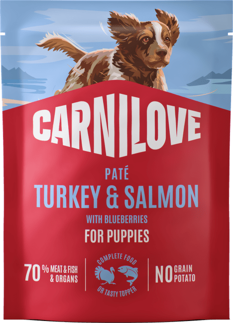 Kapsička CARNILOVE Paté pre šteniatka morka a losos s čučoriedkami 300 g