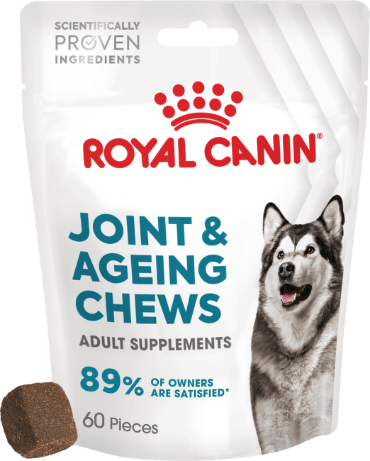 Gardums suņiem – Royal Canin Joint and Ageing Adult Dog Supplements, 240 g