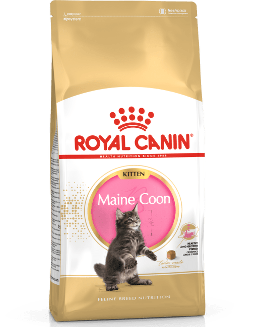 Корм для котят – Royal Canin Maine Coon Kitten, 2 кг
