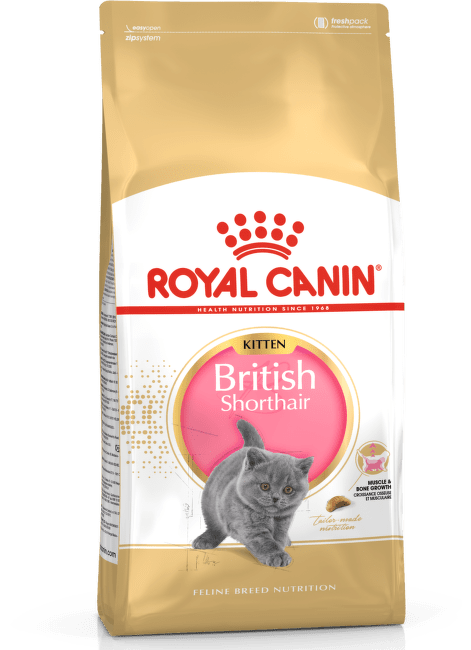 Barība kaķēniem – Royal Canin Kitten British Shorthair, 0,4 kg
