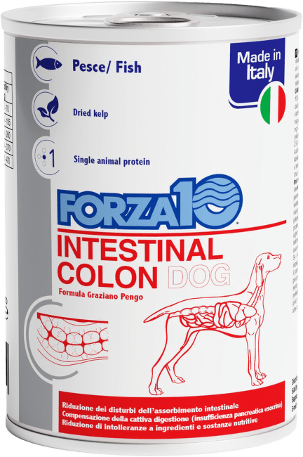 Ветеринарные консервы для собак – FORZA10 ACTIVE LINE Intestinal Colon, 390 г