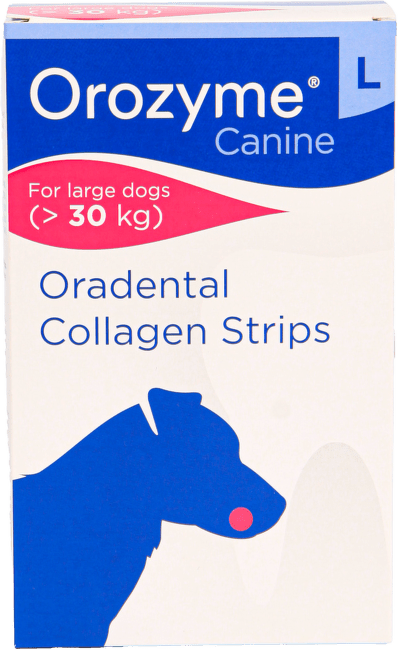 Orozyme Oradental L 141 g