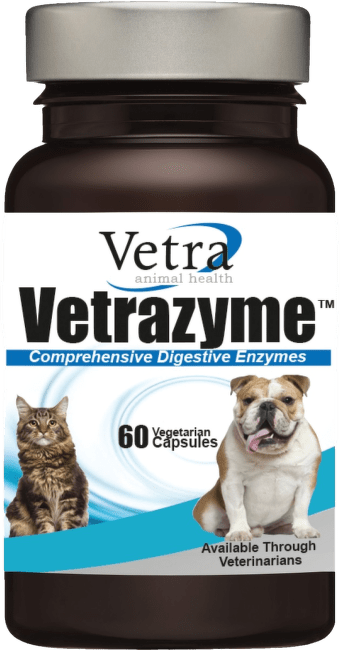 Papildbarība dzīvniekiem – VETRA VETRAZYME tabletes N90