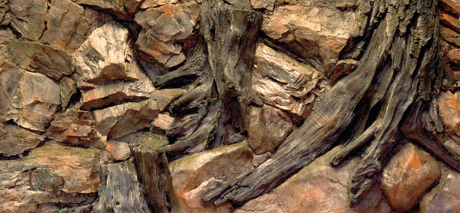 Pozadí AQUA EXCELLENT Root 120 x 50 cm