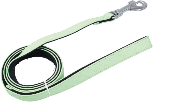 Vodítko DOG FANTASY Classic zelené 120 x 1,5 cm