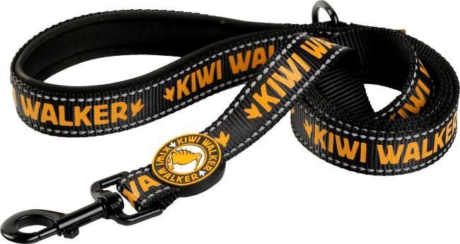 Vodítko Kiwi Walker oranžové L 150cm