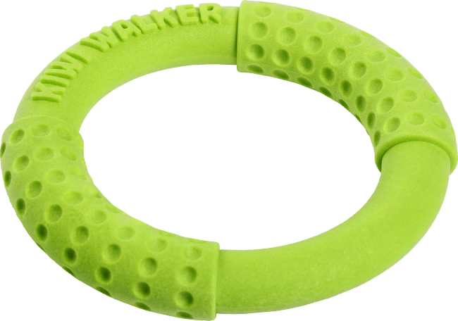 Hračka Kiwi Walker TPR guma kruh zelený 18cm
