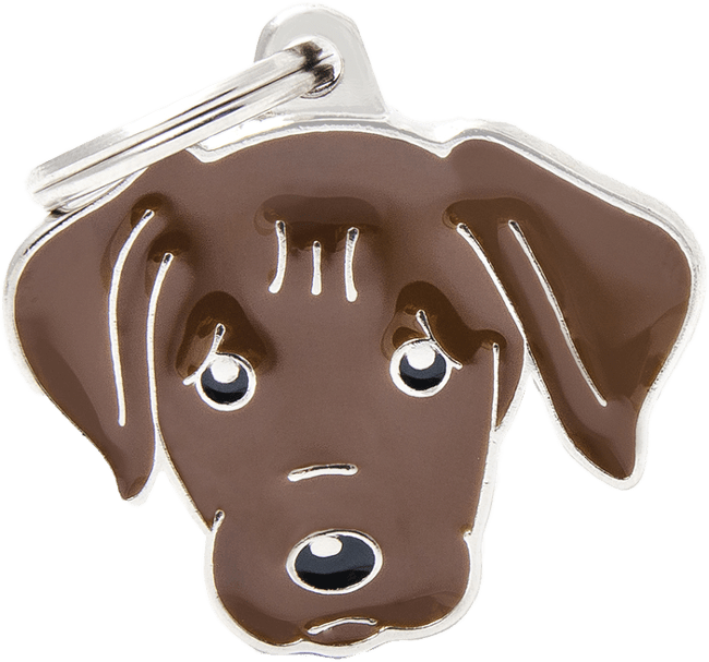 6224-MF31CHOCOLATE