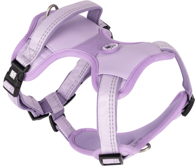 Postroj pro psy Max & Molly Sport Matrix 2.0 L levandulový