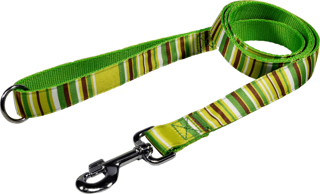 Vodítko BaF nylon proužky zelené 2,5x150cm
