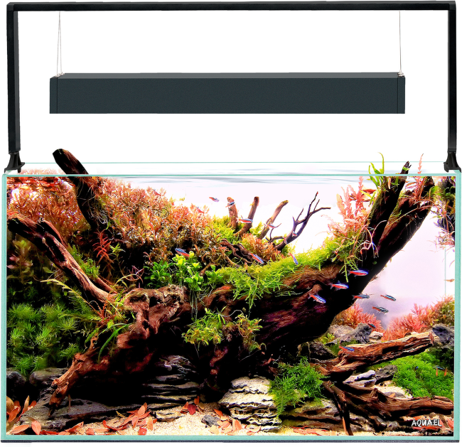 Akvārijs – Aquael aquarium set Ultrascape 60 forest, 64.8 l