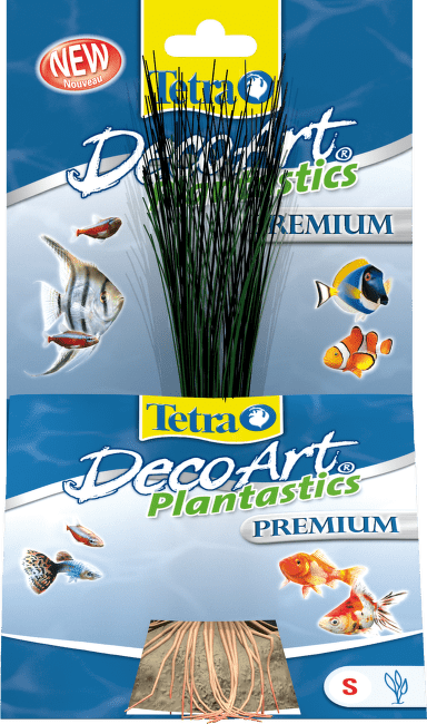 Rostlina TETRA Hairgrass S