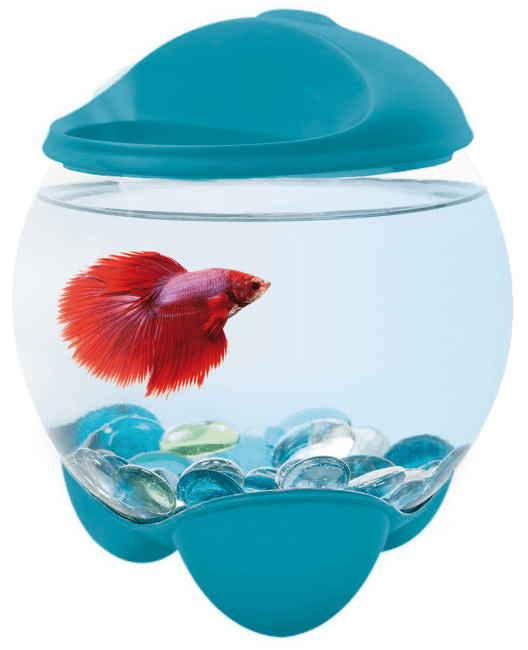 Аквариум - Tetra Betta Bubble, 1.8l, синий