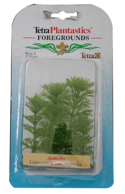 Декоративное растение для аквариума - Амбулия Nr.1