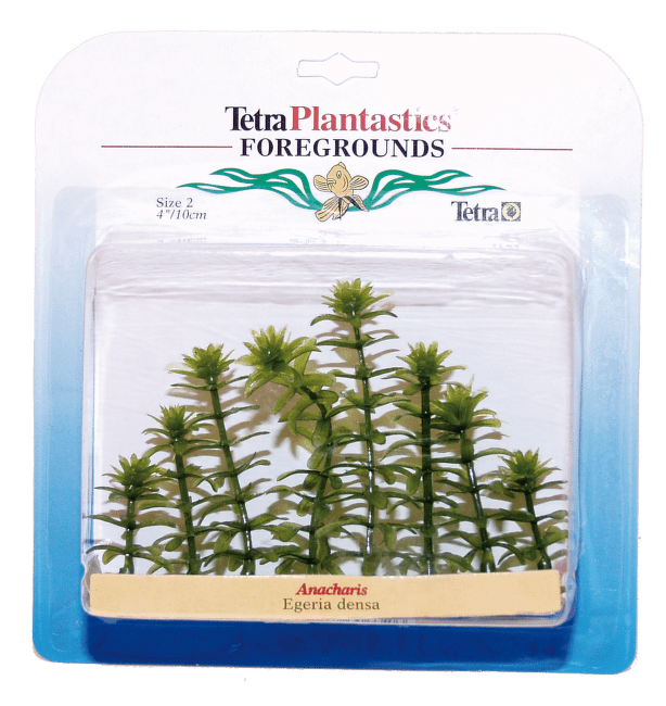 Декоративное растение для аквариума - Элодея Nr.2