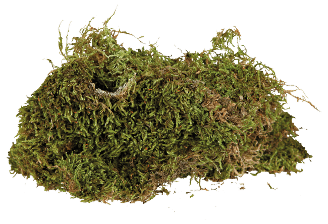 Sūnas terārijam – TRIXIE, Terrarium moss, substrate for humid terrariums, 200 g