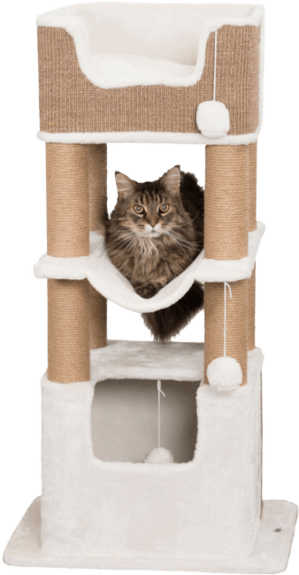 Mājiņa kaķiem – TRIXIE Lucano Scratching Post XXL, 110 cm, White