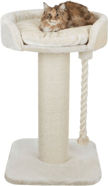Домик для кошек – TRIXIE Klara Scratching Post XXL, 100 см, Cream
