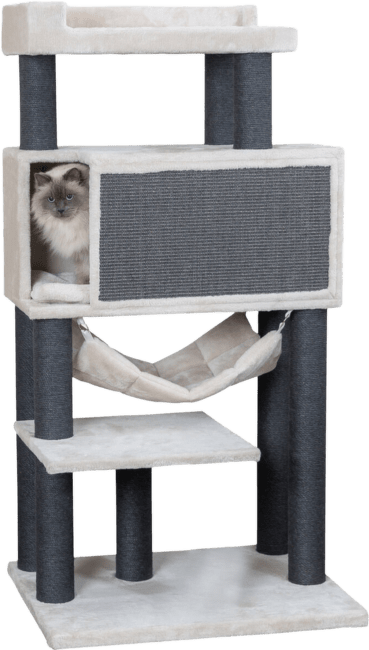 Mājiņa kaķiem – Trixie, Cat Tree, XXL Maciel, 155 cm