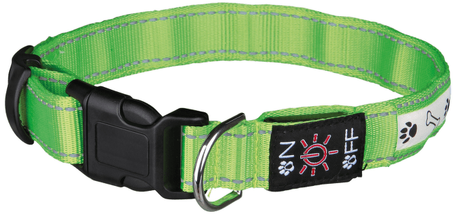 Atstarojošā kakla siksna suņiem - Flash Illuminous Collar USB, S-M, 30-40cm/25mm, zaļa